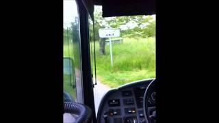 Scania OmniLine ZF 5HP-502C - route 106 Kolding  Middelfart