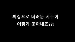 [세모썰] 최강으로 더러운 시누이 어떻게 쫓아내죠??!