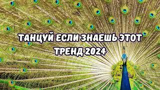 ТАНЦУЙ ЕСЛИ ЗНАЕШЬ ЭТОТ ТРЕНД 2024