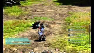 Билд на крестоносца 80 lvl и демонстрация скиллов. Dragon Nest.