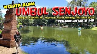 Umbul Senjoyo Water Tour Salatiga || Latest Senjoyo Banners