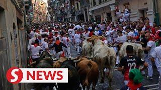 Running of the bulls takes place at Spanish festival