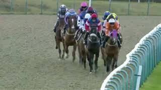 ( THOUGHTFUL GIFT)8 Race Lingfield 19 Feb 2024