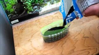 DIY Emersed Aquarium Planter