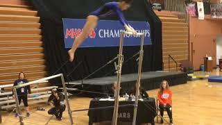 Farmington’s Allison Schultz performs on vault at state meet