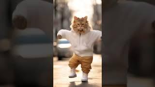 R9))) ️   #cat #cute #kotik #koshki_prikoly_2024 #catlover #shortvideo #shorts #cats