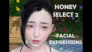 HS2 - Facial expressions and face animation | Basic Tutorial