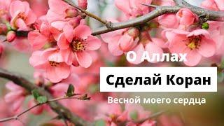 Дуа от грусти и переживаний. 4 основы удаляющие грусть и беспокойство из сердца.