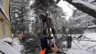 Удалили небольшие деревья для большего доступа солнечного света