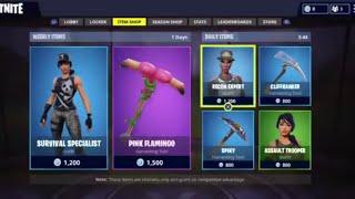 Fortnite Season 1 Shopping Spree (Skull Trooper Ghoul Trooper Renegade Raider Recon Expert)