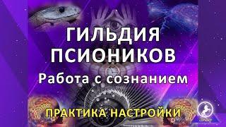 Гильдия Псиоников. Работа с сознанием. Технологии. Практика настройки.