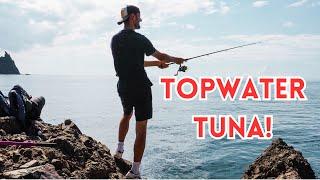 TOPWATER TUNA FISHING OFF THE ROCKS!  