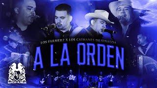 Los Farmerz x Los Caimanes De Sinaloa - A La Orden [En Vivo]