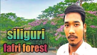 siliguri fafri forest