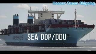 Honour Ocean Shipping Agent 002