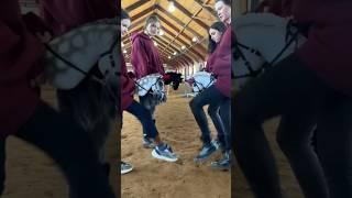 Простая истина  #хоббихорсинг #horse #рекомендации #хоббихорс