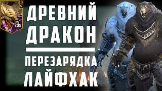 Древний Дракон | Мишки атакуют | Бесконечная Перезарядка | Raid SHadow Legends