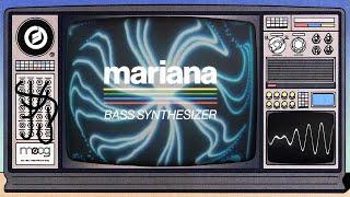 Introducing Mariana | A New Bass Synthesizer from Moog Music