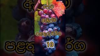 ලොව ඇඹුල්ම පළතුරු  10#fruit #food #lime#MR.kalana