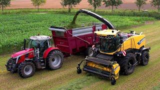 Gras hakselen | Chopping grass | New Holland FR 920 | Massey Ferguson | Gras häckseln | 2024