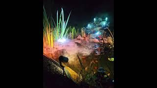 Amazing Koi Pond The Living Art @be_happy_like_me | Falcon Aquarium Services