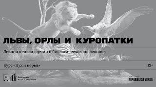 «Львы, орлы и куропатки». Лекция о таксидермии и биологических коллекциях