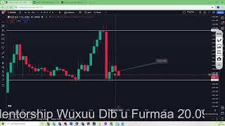 Live Forex Trading Stream  Sep 24, 2024