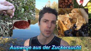 Auswege aus der Zuckersucht: Versteckter Zucker & Krankheit bekämpfen (Karies Candida Pickel Krebs)