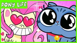 Pony Life | NEW | Fluttershy Valentine's Day Moment  | MLP Pony Life