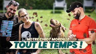 Mon chiot mordille tout le temps ! LABRADOR - Un café et c'est réglé Ep6