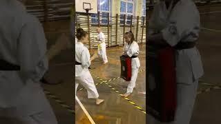 kyokushin karate training session #kyokushinway #shorts