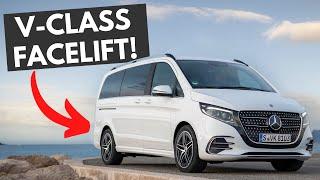 2024 Mercedes V-Class ANNOUNCED!