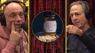 Experiments Prove You Can See The Matrix On DMT | Rick Strassman