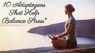 10 Adaptogens That Help Balance Stress