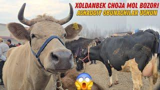 Bugun Daxshat Boldi Shaxrixon Xoldanbek CHOJA Mol Bozori 