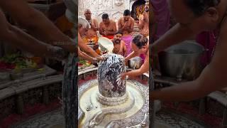 Mahadev trending status  Bholenath status ️ Mahakal status  #mahadev #bholenath #mahakal #shiv