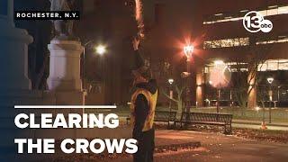 Methods to disperse large roost of crows begin in downtown Rochester