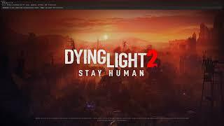 КАК УБРАТЬ МЫЛО DYING LIGHT 2  ПОЛНОСТЬЮ / REMOVE BLUR DYING LIGHT 2