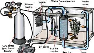 Pressurized Co2 Setup for Planted Aquarium