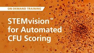 On-Demand Training: STEMvision™ for Automated CFU Scoring Course