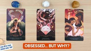 Someone In Your Life Is Obsessed With You, Why? (Anyone In Your Life) | Timeless Reading