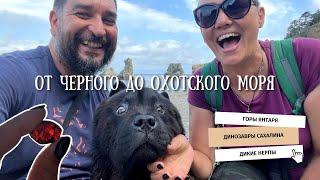 От Черного до Охотского моря | Часть 7: Горы янтаря, динозавры Сахалина, окаменелые устрицы.