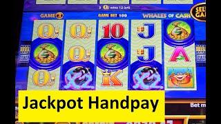 My First Jackpot Handpay of 2025! Whales Of Cash Wonder 4 Boost