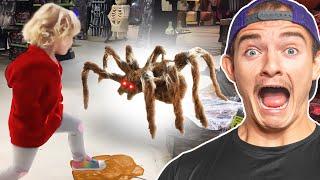 Giant Spider Vs Little Girl: Halloween Moments