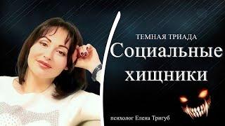 СОЦИАЛЬНЫЕ ХИЩНИКИ: основные признаки | Психология личности