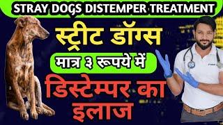 डिस्टेंपर का इलाज मात्र 3 रुपये मे | Street Dogs | Stray Dogs | Canine Distemper Treatment At Home