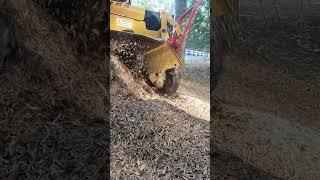 More Campground Maintenance - Working around waterlines.