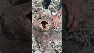 #treasurehunter #metaldetector #archeology #history #adventure #gold