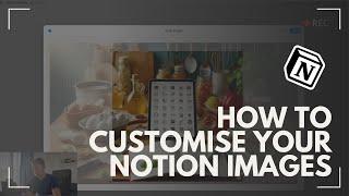 How to Customise Your Notion Images to Your Needs