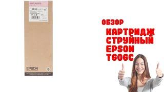 Картридж струйный Epson T606C - Обзор